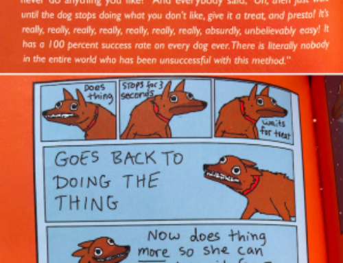 The Failure Of Treat-Focused, “Purely Positive” Dog Training