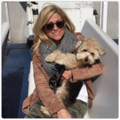 NYC Dog Training